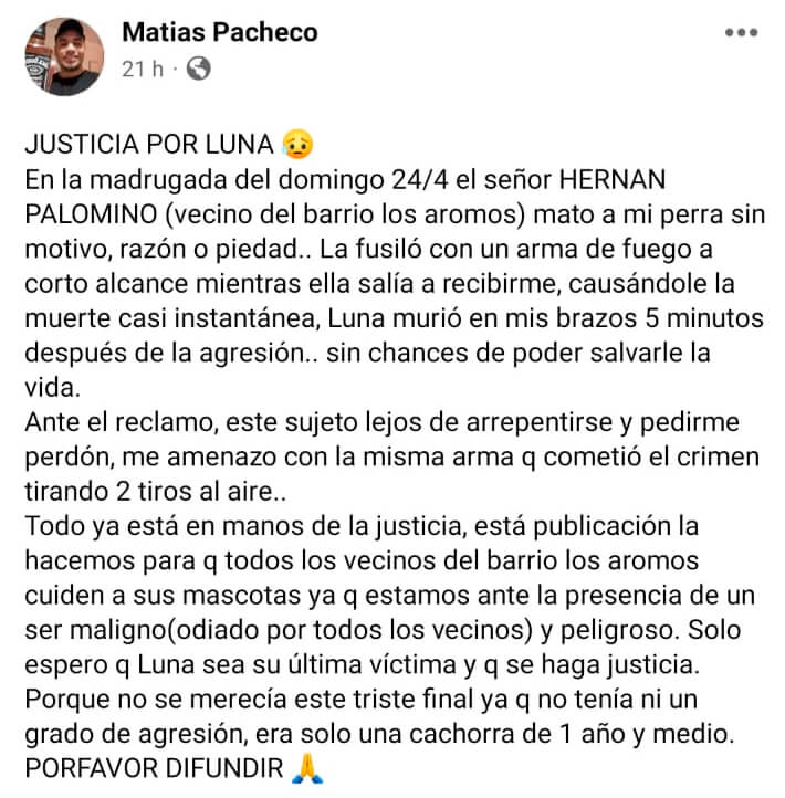 Publicación de Matias Pacheco denunciando la muerte de su perra