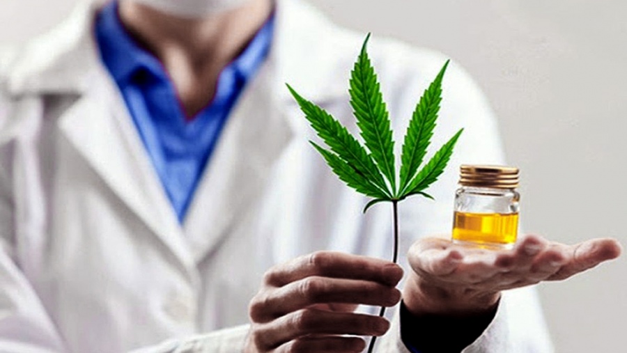 Taller de cannabis medicinal