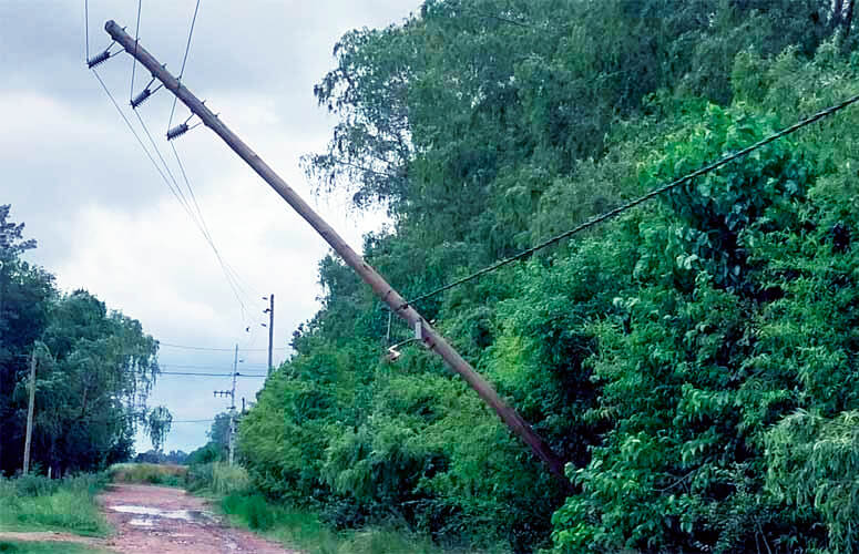 Caída de postes durante el temporal que debe reparar EDESUR